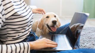 犬の飼育費用