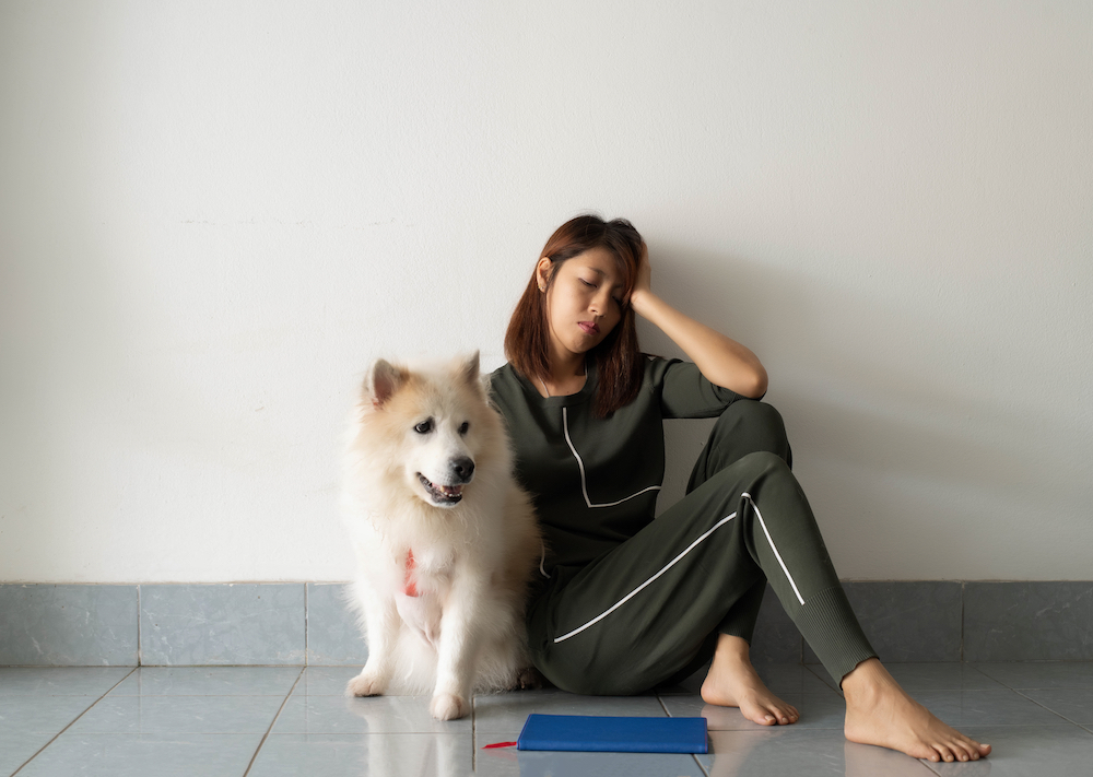 飼うんじゃなかったと後悔している女性