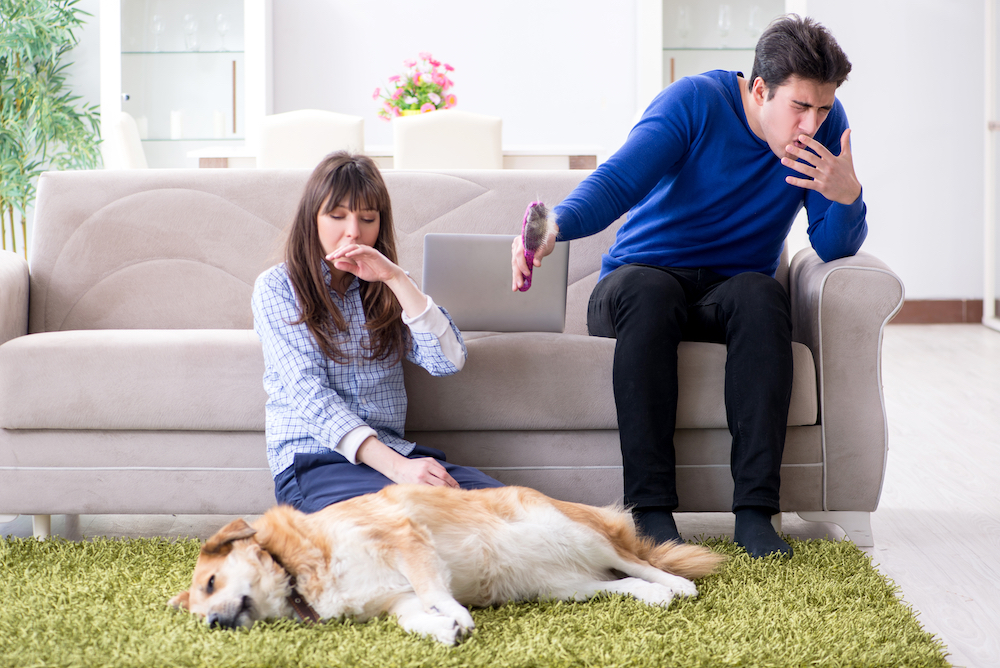 犬アレルギーの症状